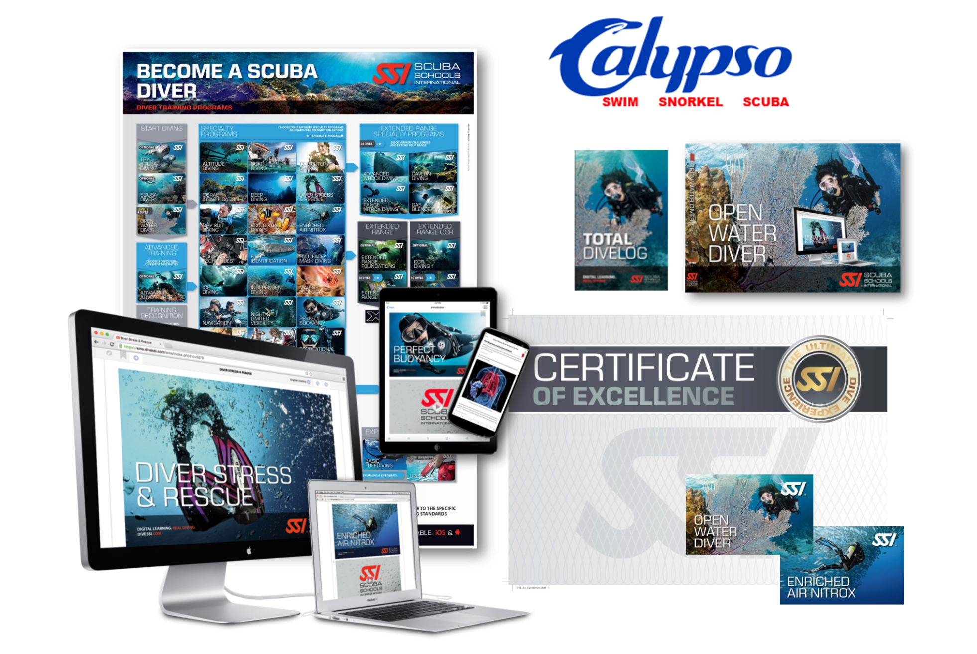 open water diver certificate